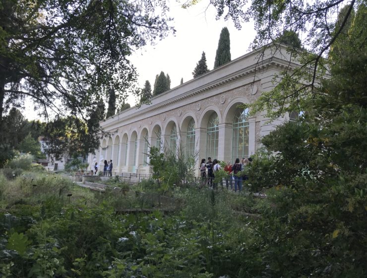 l'orangerie du jardin des plantes