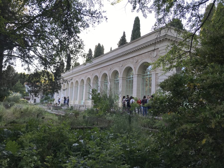 l'orangerie du jardin des plantes